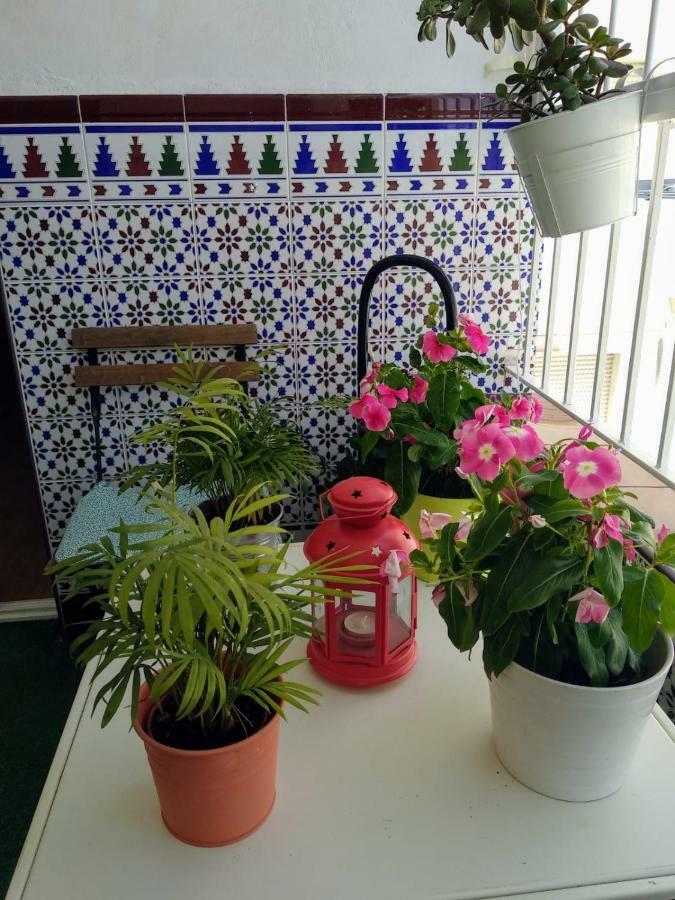 Apartamento Limon Murcja Zewnętrze zdjęcie
